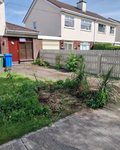 Hedge Trimming