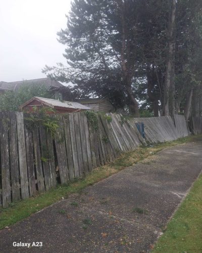IMG-20250807-WA0002