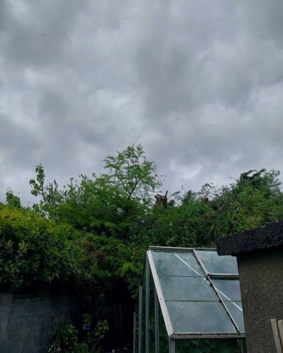 IMG-20250807-WA0016